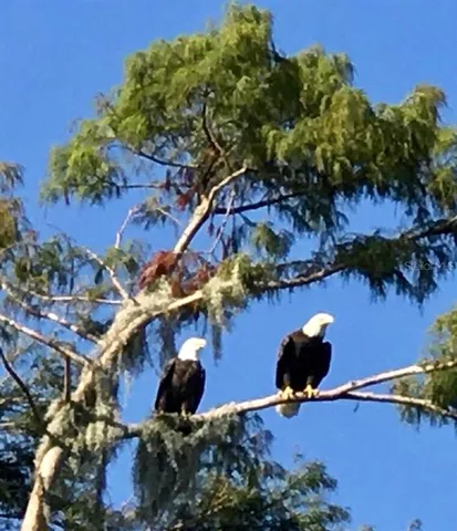 $2,900 | 348 Georgetown Drive, Unit 348, Casselberry, FL 32707