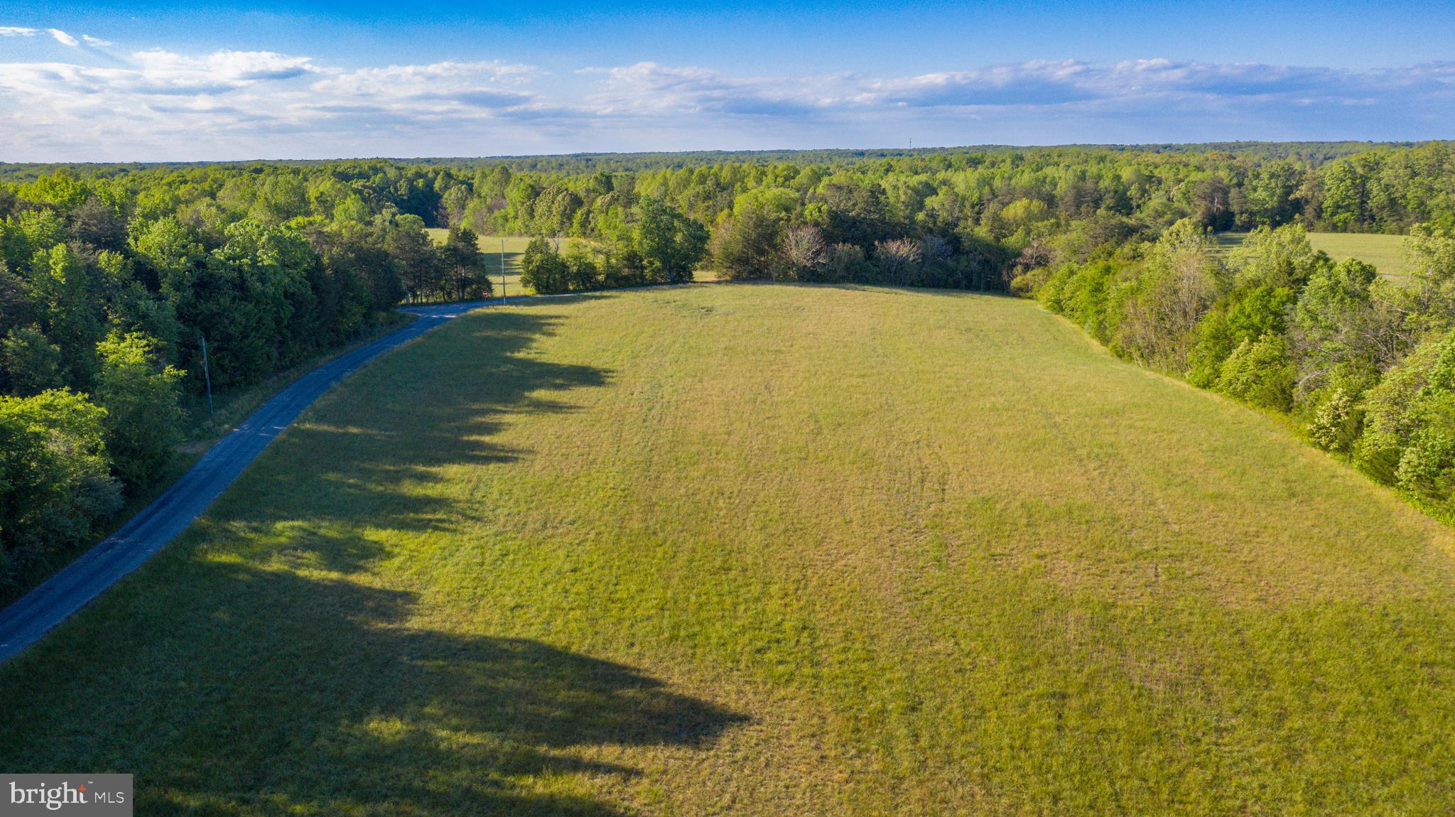0 Trivette Road Beaverdam, VA 23015 - Photo 5 of 45