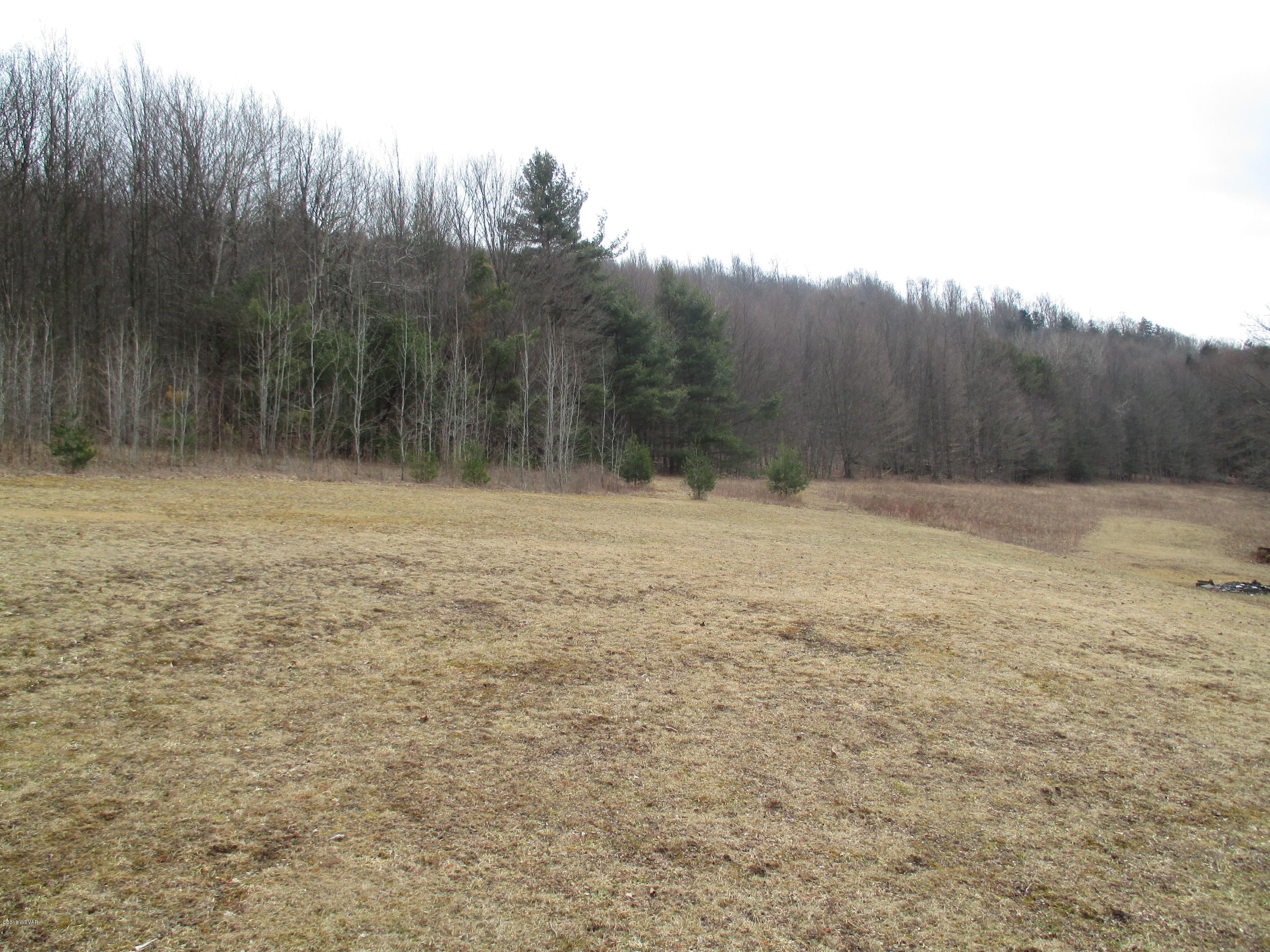 356 Bear Road Dushore, PA 18614 - Photo 43 of 47 Gallery Image 43