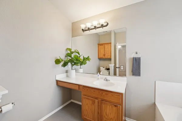 a bathroom with a sink a potted plant and a mirror