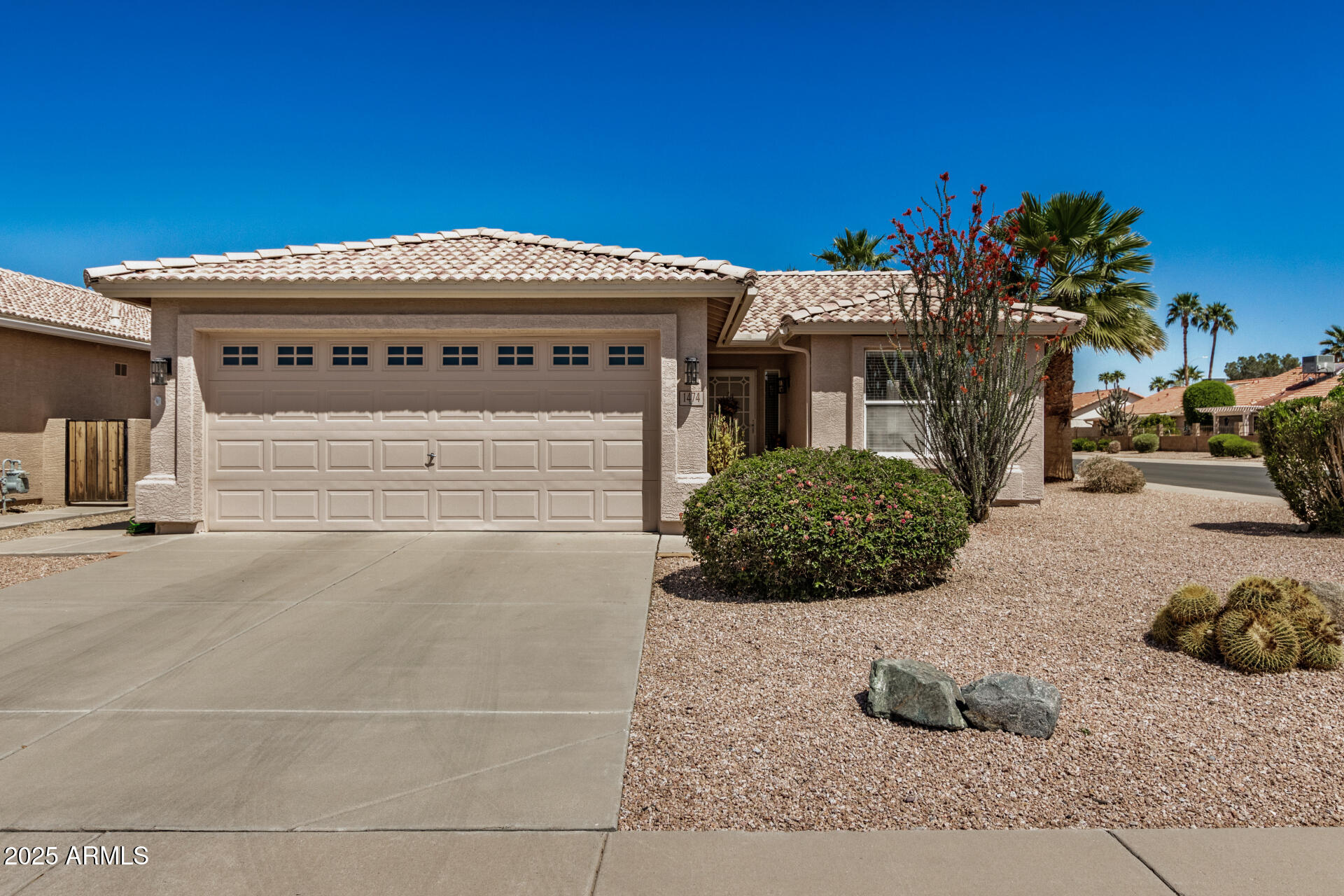 1474 East Riviera Drive Chandler, AZ 85249 - Photo 1 of 56 02 - Riviera