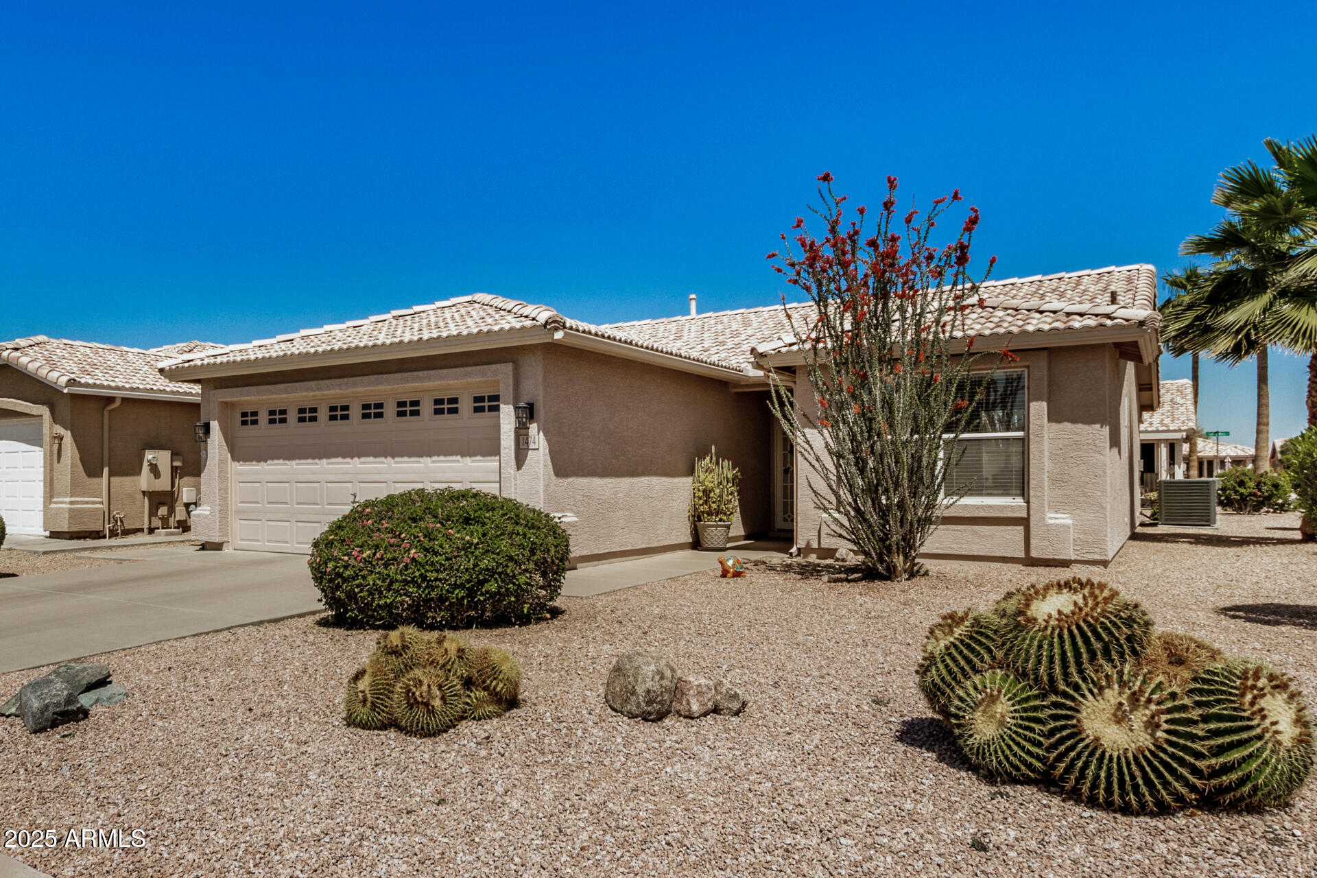 1474 East Riviera Drive Chandler, AZ 85249 - Photo 2 of 56 06 - Riviera