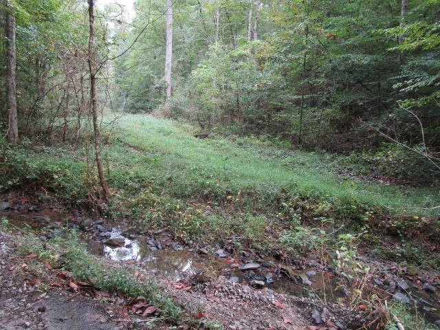 Spring Hollow Rutledge, TN 37861 - Photo 1 of 4 IMG_1729