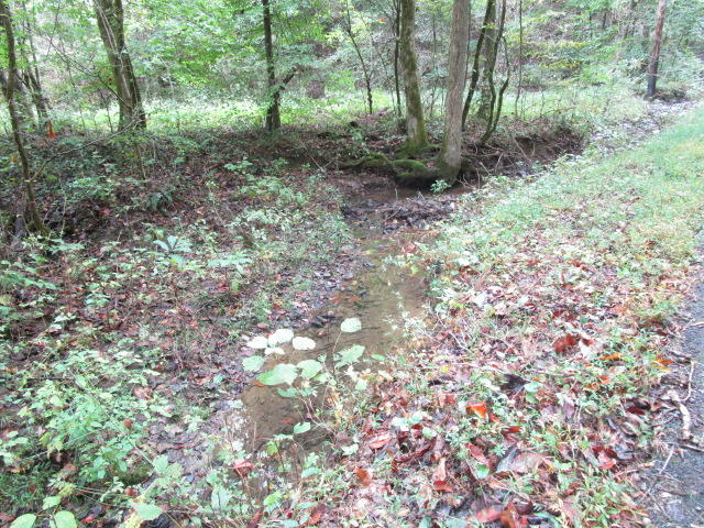 Spring Hollow Rutledge, TN 37861 - Photo 3 of 4 IMG_1728