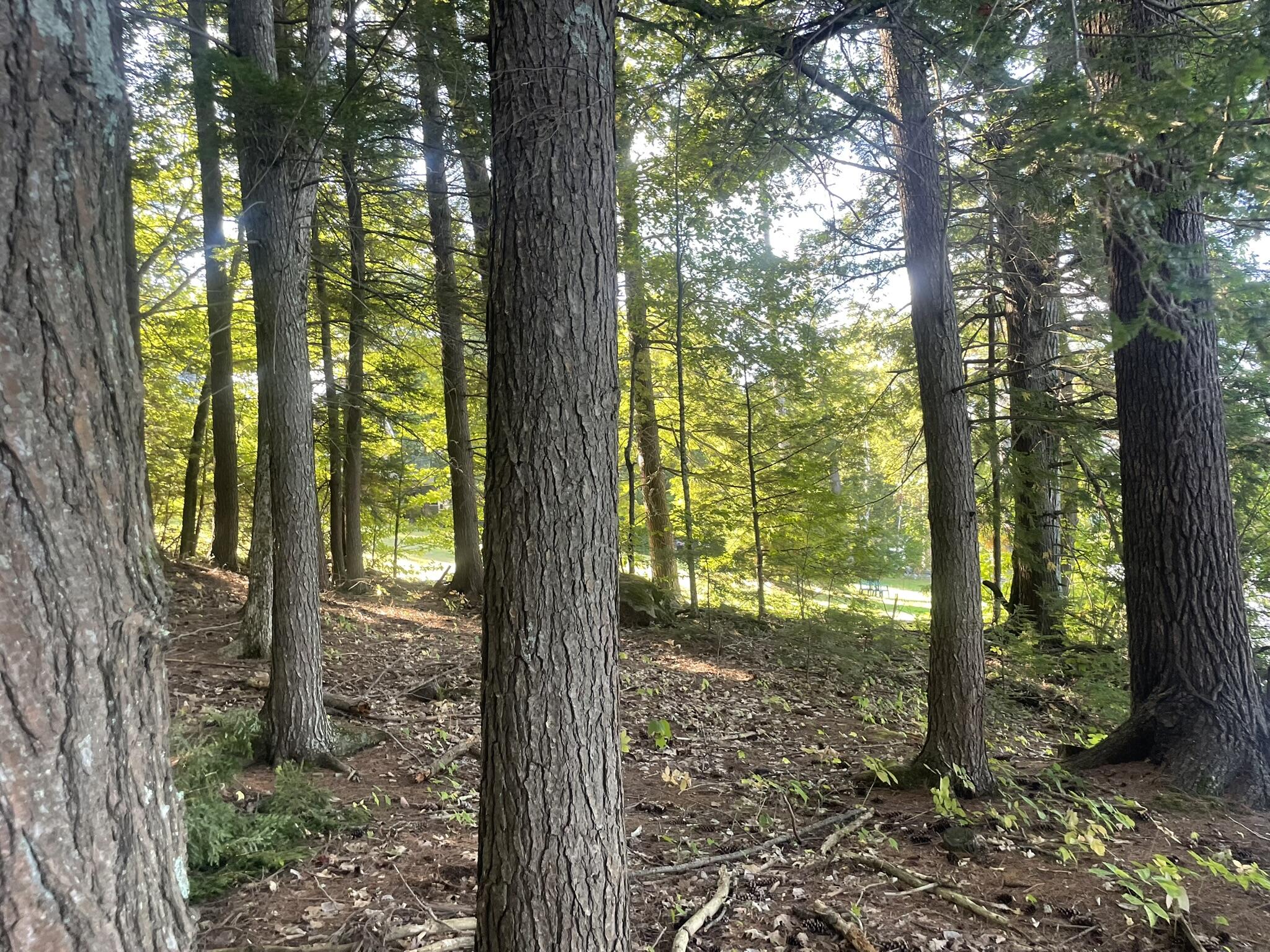 0 Route9-126 Road Litchfield, ME 04350 - Photo 79 of 105