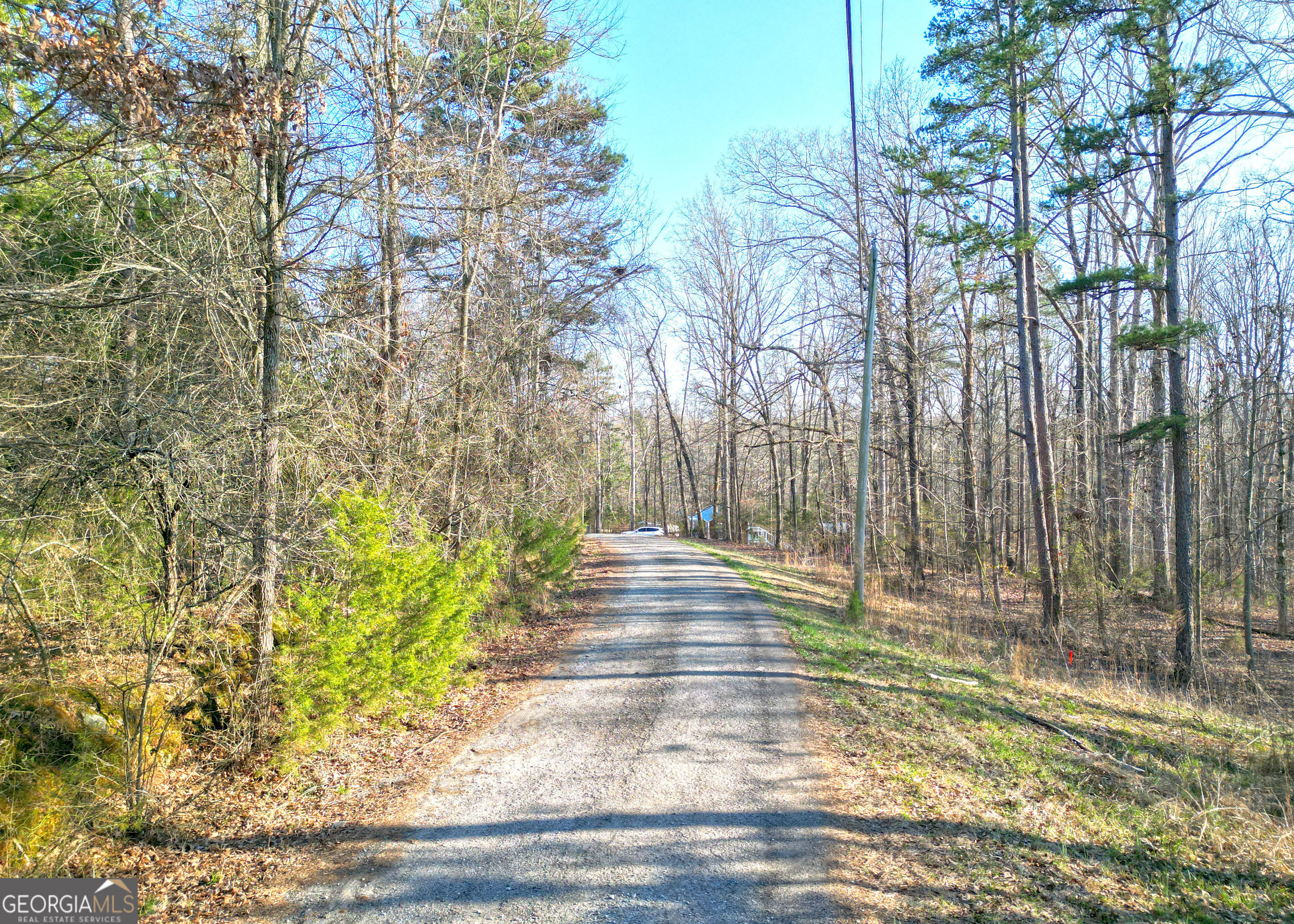 0 Andrews Subdivision Lavonia, GA 30553 - Photo 2 of 3 a view of park with large trees