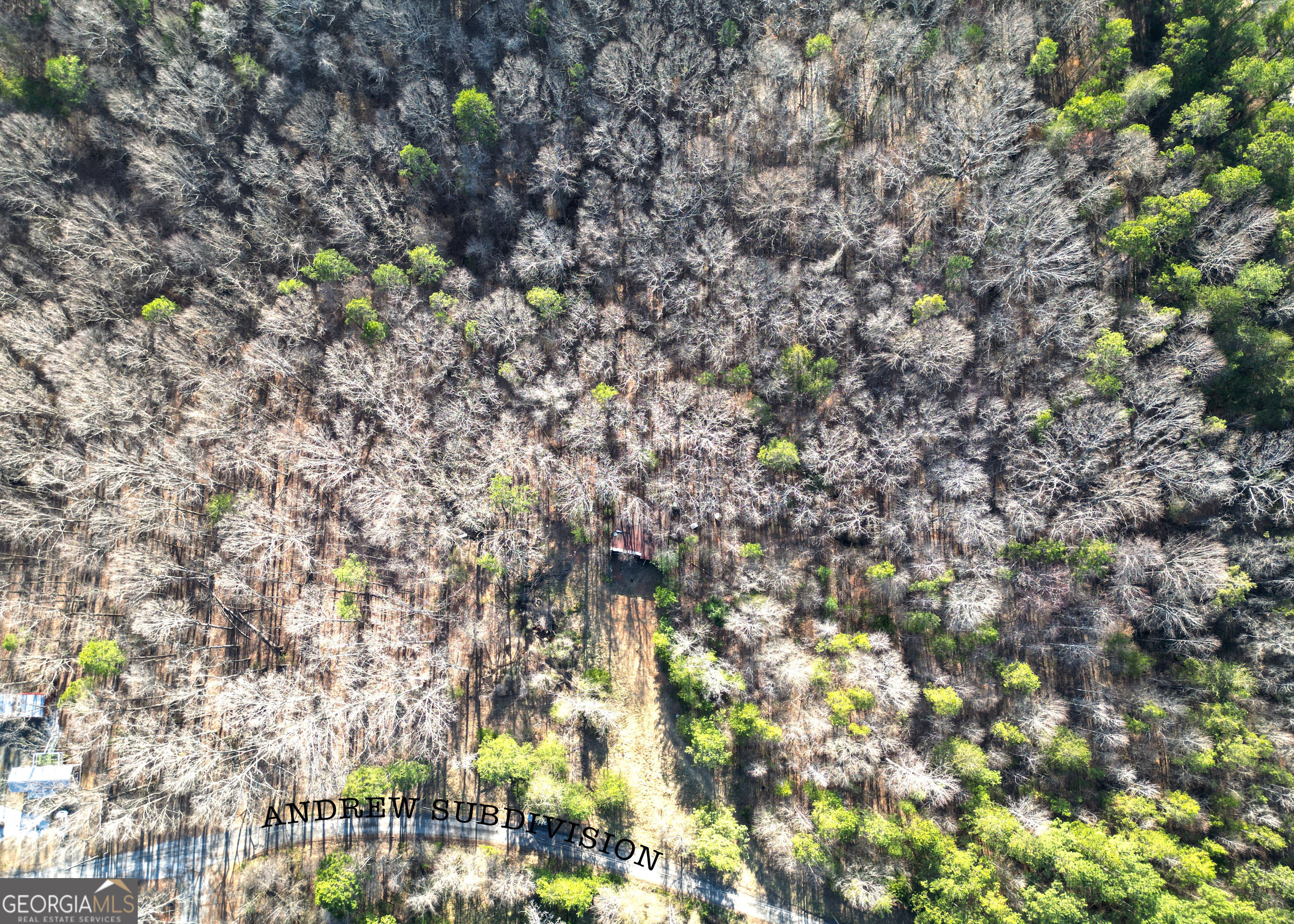 0 Andrews Subdivision Lavonia, GA 30553 - Photo 3 of 3 a picture of tree