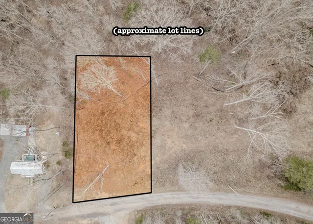 a view of a dry yard