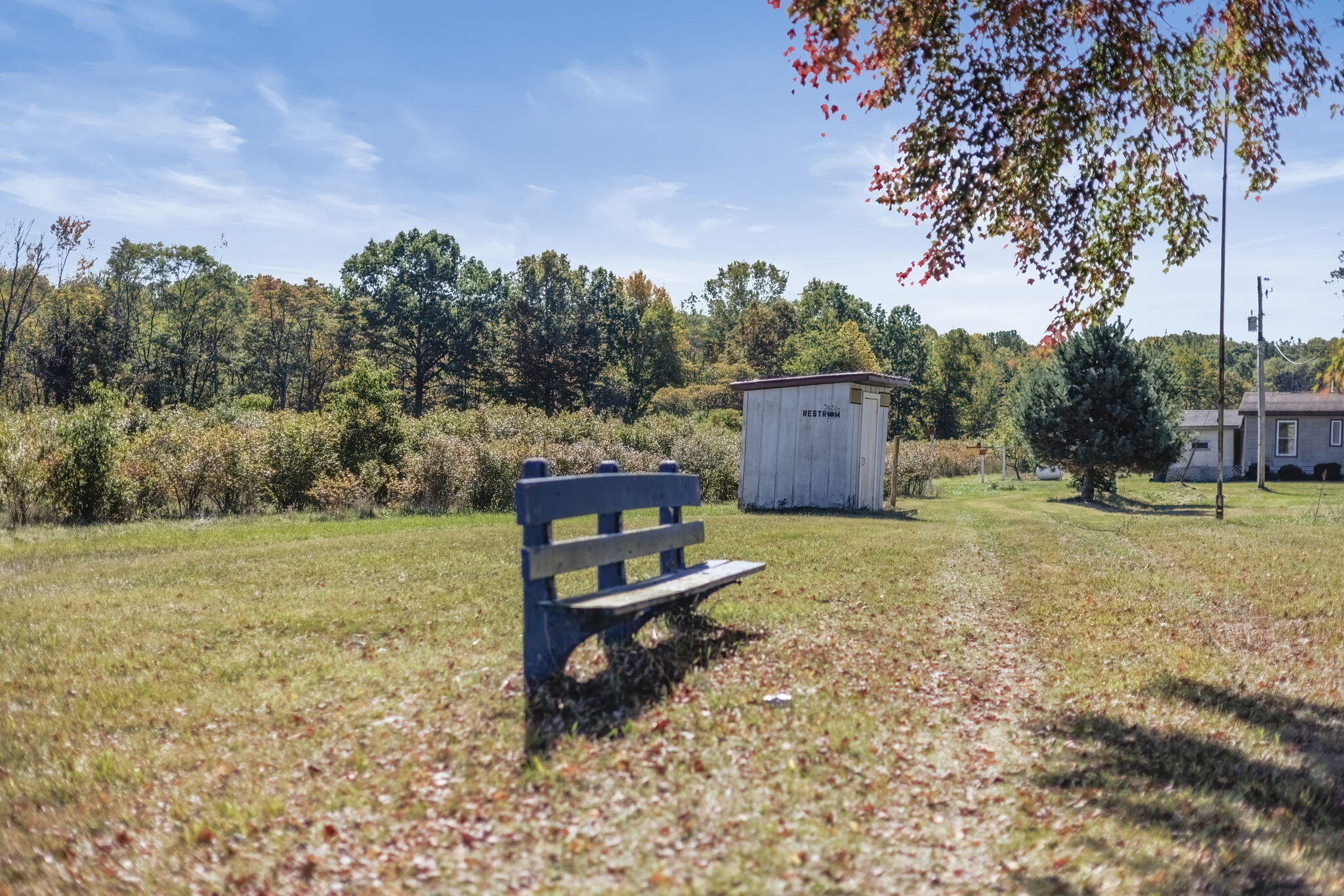 11160 Farina Road New Buffalo, MI 49117 - Photo 15 of 51 Blueberry pickers bench and out house
