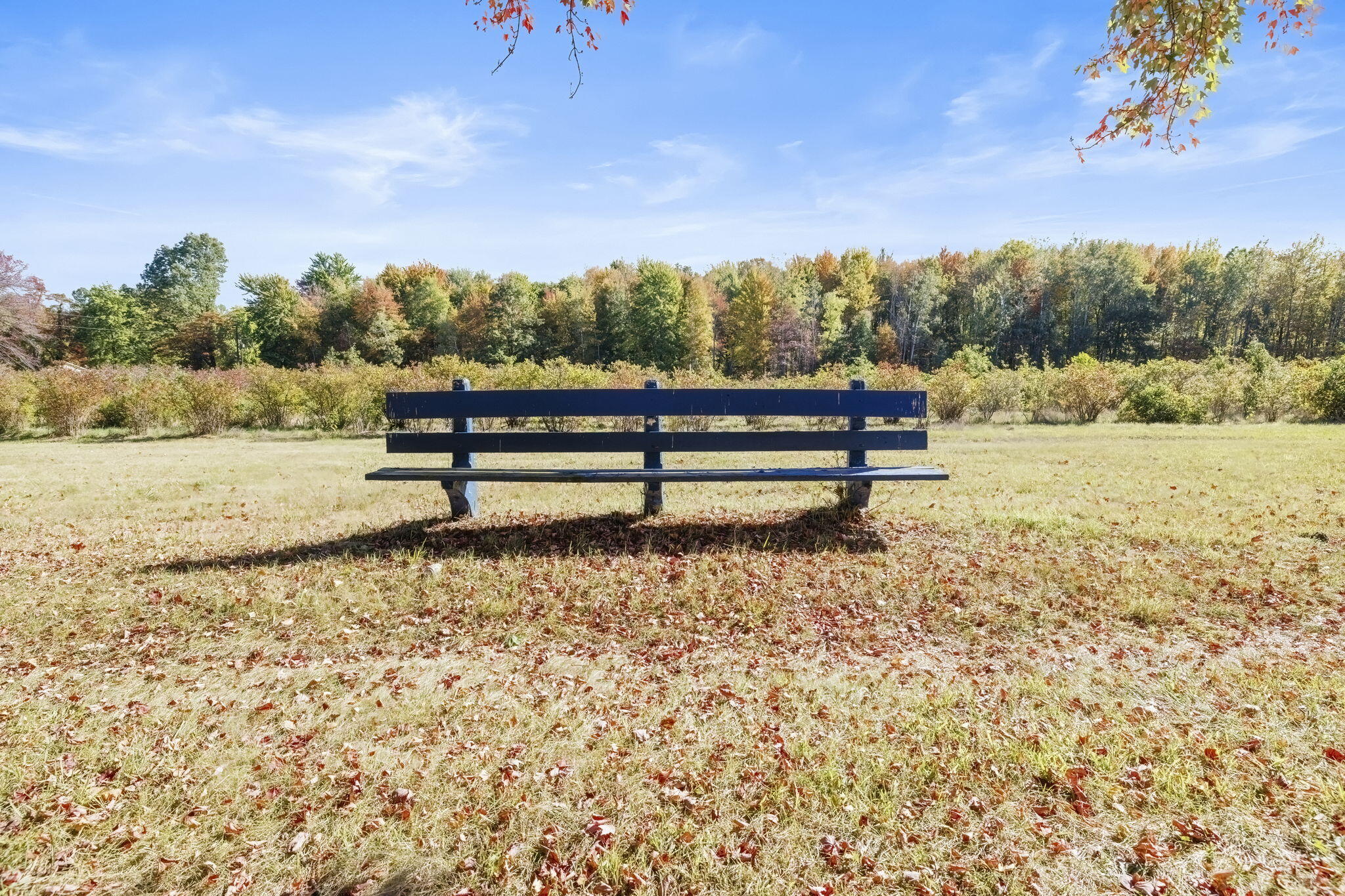 11160 Farina Road New Buffalo, MI 49117 - Photo 16 of 51 Blueberry pickers bench