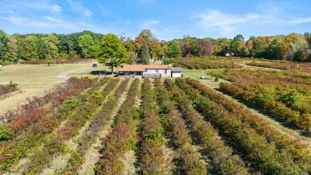 $1,200,000 | 11160 Farina Road, New Buffalo, MI 49117