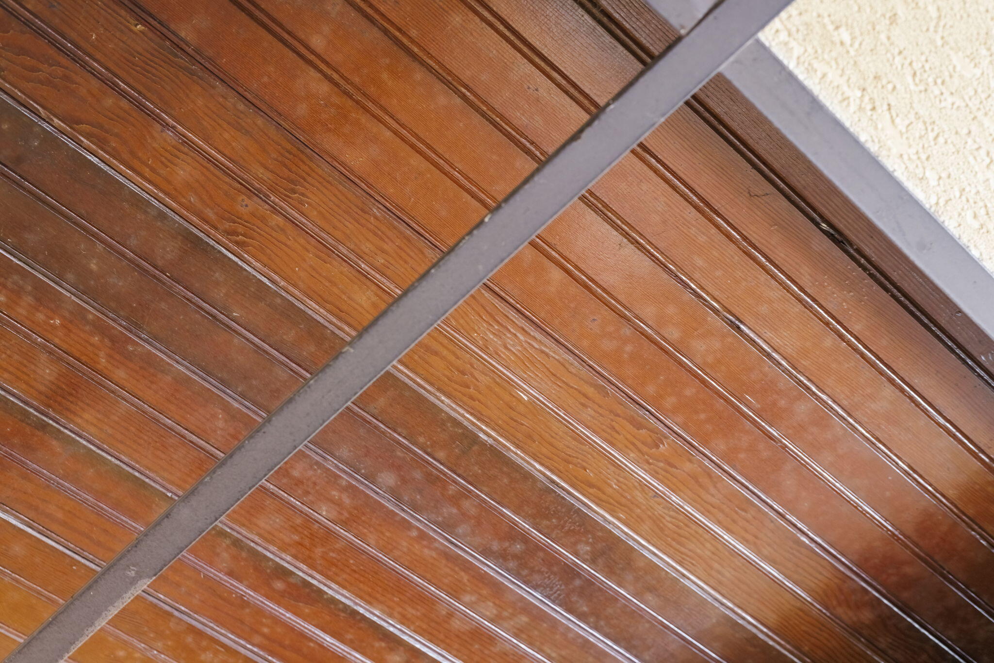 11160 Farina Road New Buffalo, MI 49117 - Photo 21 of 51 Original back porch ceiling