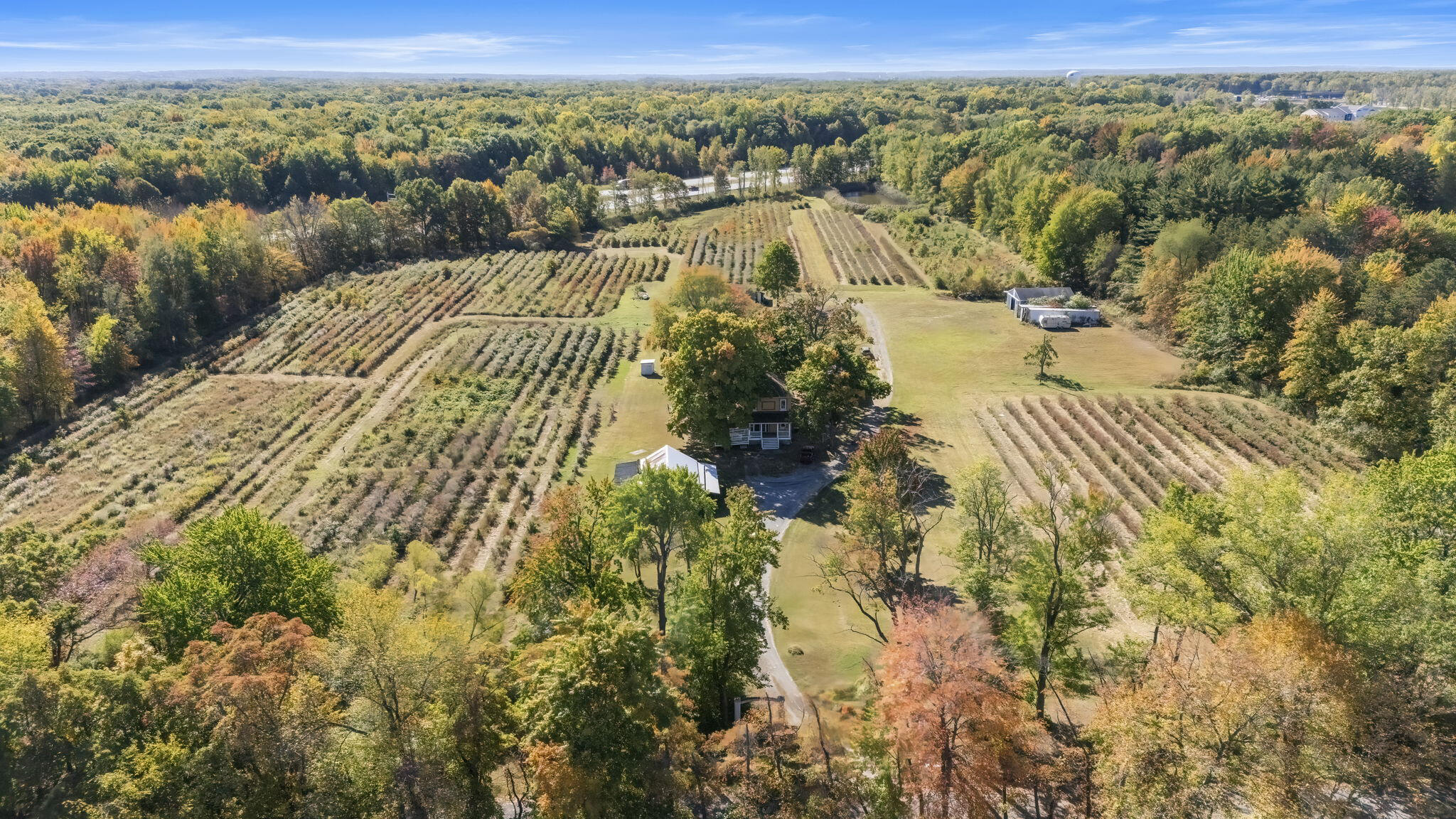 11160 Farina Road New Buffalo, MI 49117 - Photo 4 of 51 Aerial view