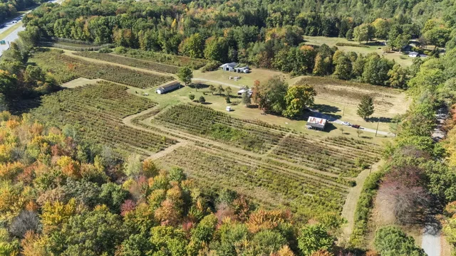 $1,200,000 | 11160 Farina Road, New Buffalo, MI 49117