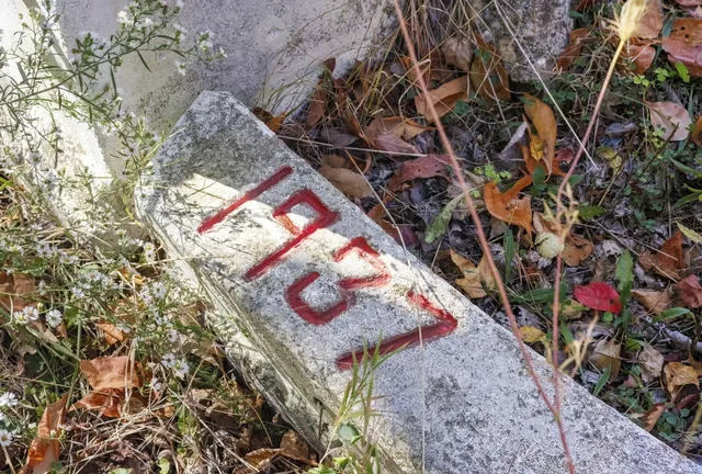 $1,200,000 | 11160 Farina Road, New Buffalo, MI 49117