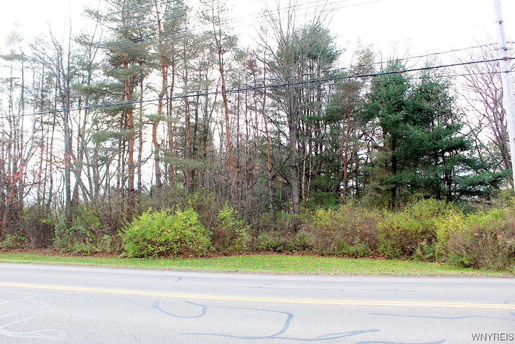 Vl Vaughn Street Springville, NY 14141 - Photo 2 of 5