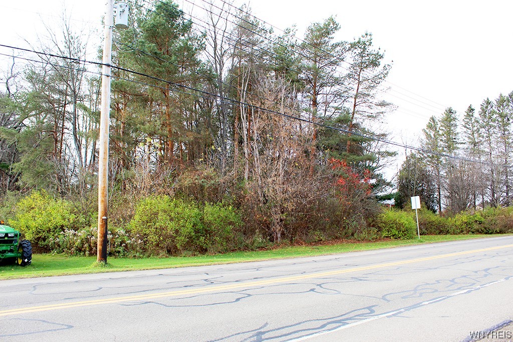 Vl Vaughn Street Springville, NY 14141 - Photo 4 of 5