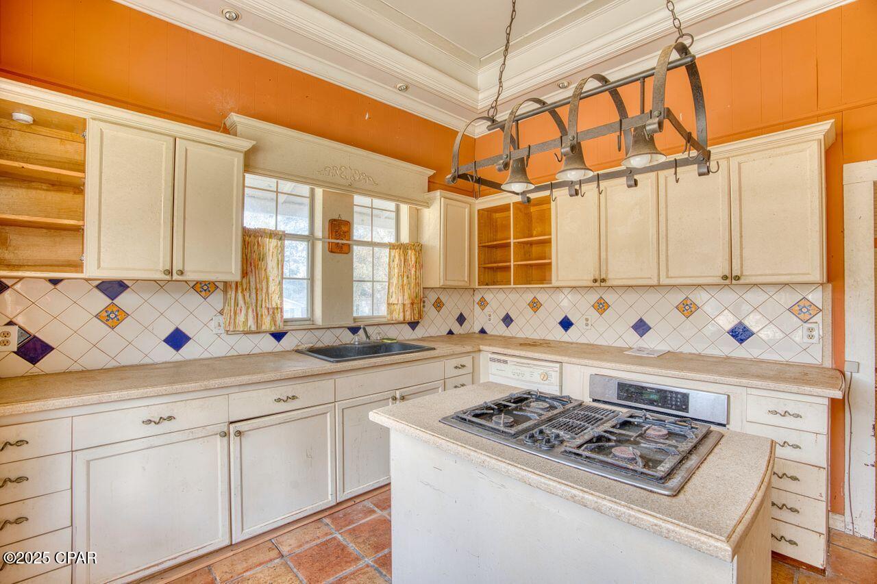 5021 Basswood Road Bascom, FL 32423 - Photo 2 of 51