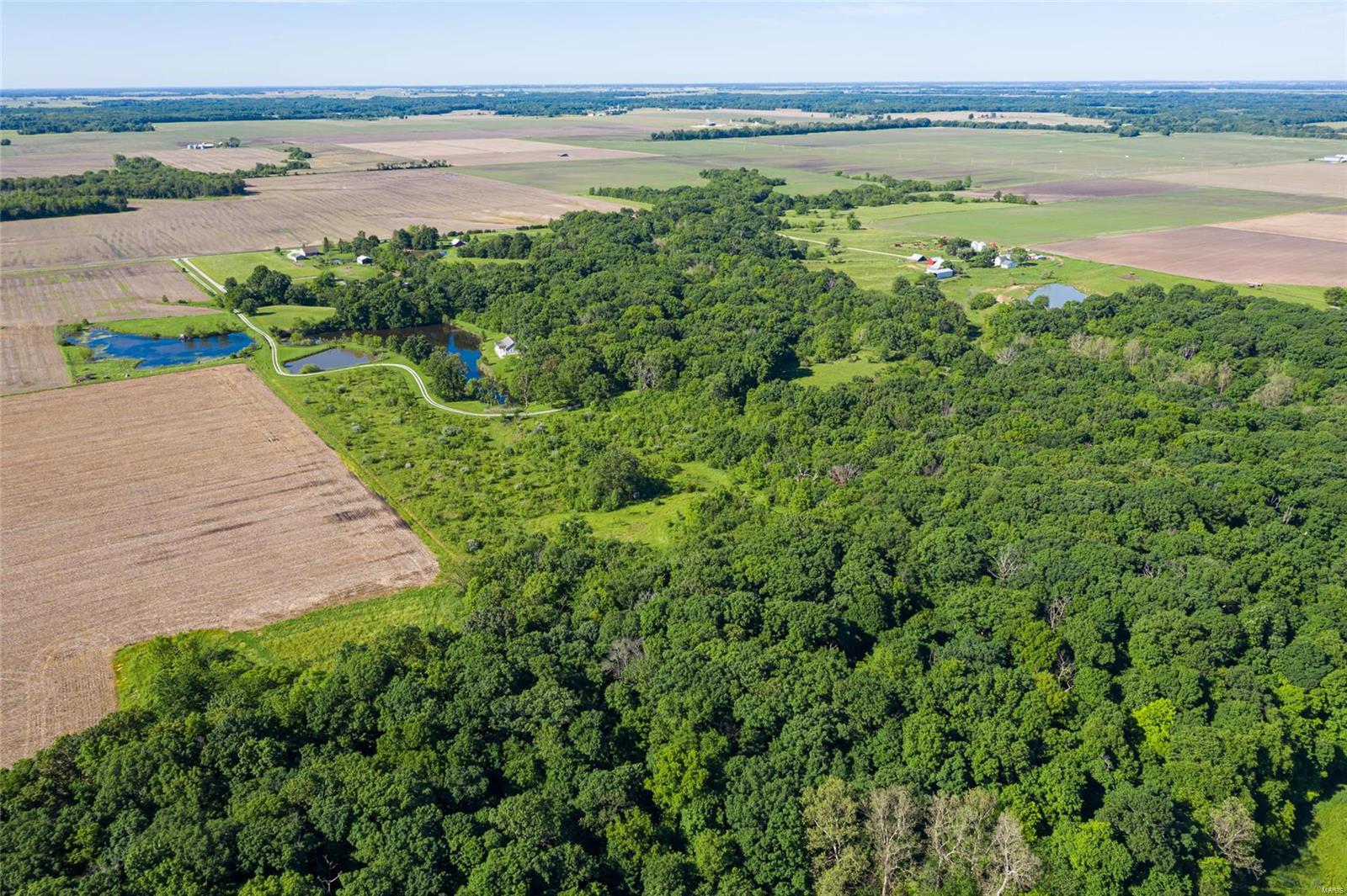 14792 Wheeler Road Carlinville, IL 62626 - Photo 38 of 49 Gallery Image 38