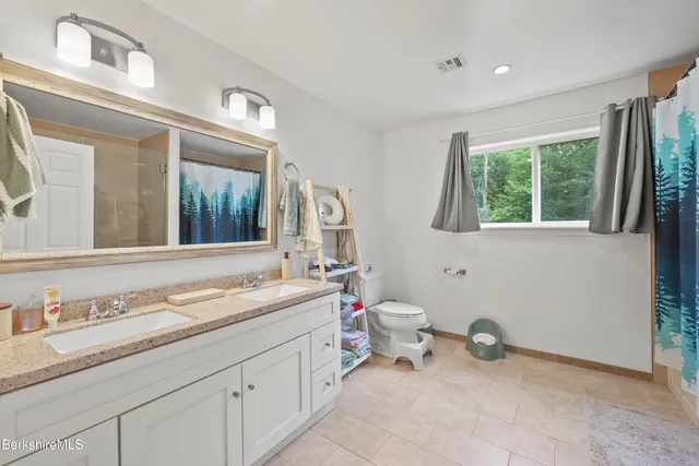 a view of a yard with plants and trees