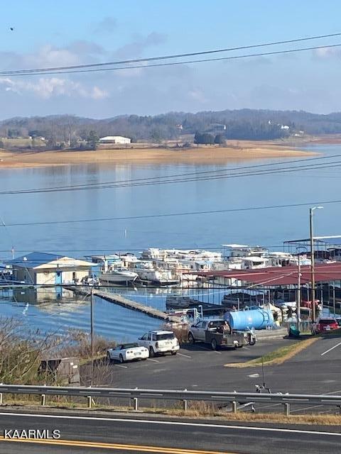 144 Sandpiper Lane Bean Station, TN 37708 - Photo 23 of 25 IMG_1265