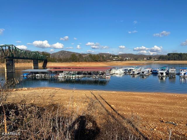 144 Sandpiper Lane Bean Station, TN 37708 - Photo 25 of 25 IMG_1281