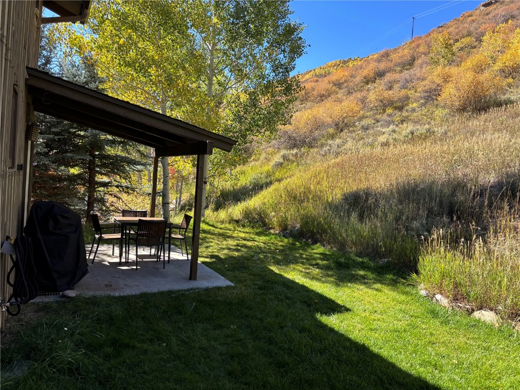 2099 Chamonix Lane, Unit 1A Vail, CO 81657 - Photo 19 of 29 a view of backyard with table and chairs and potted plants
