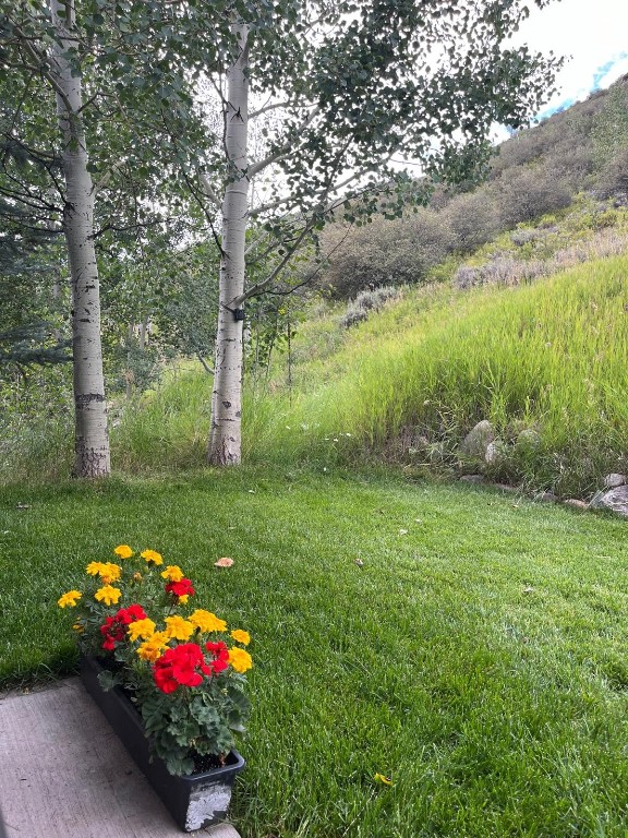 2099 Chamonix Lane, Unit 1A Vail, CO 81657 - Photo 20 of 29 a view of a flower in a garden