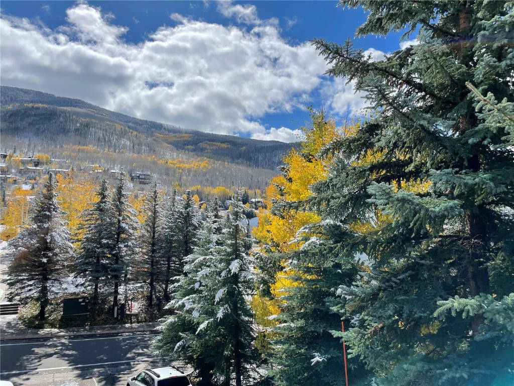 2099 Chamonix Lane, Unit 1A Vail, CO 81657 - Photo 21 of 29