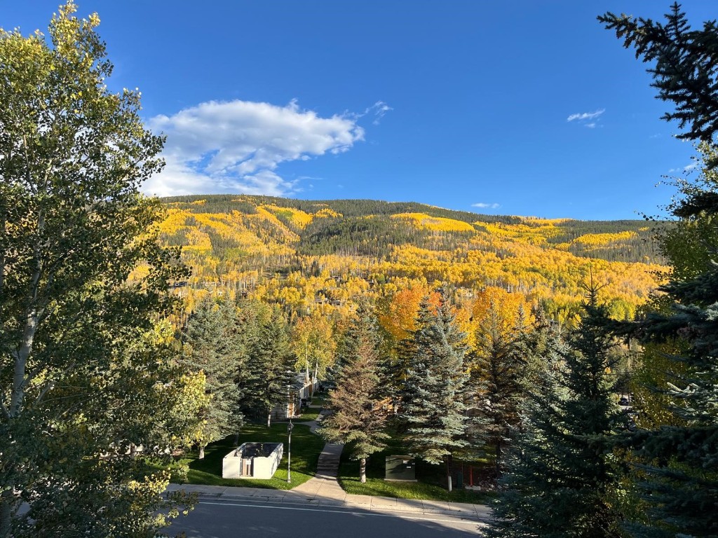 2099 Chamonix Lane, Unit 1A Vail, CO 81657 - Photo 22 of 29 a view of a city