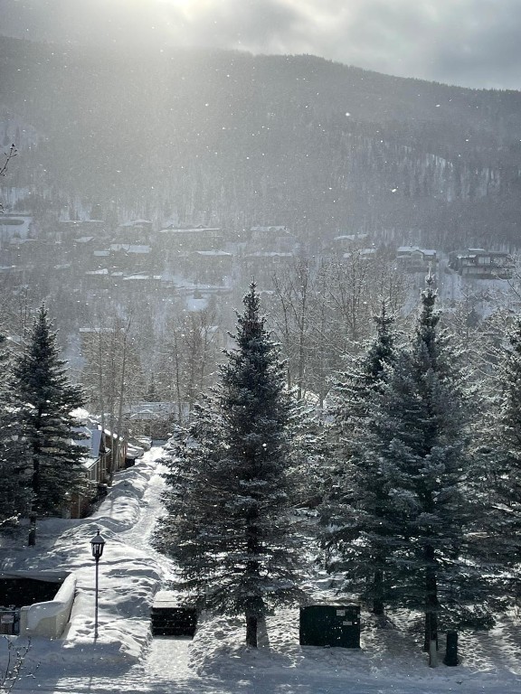 2099 Chamonix Lane, Unit 1A Vail, CO 81657 - Photo 27 of 29 a view of outdoor space and yard