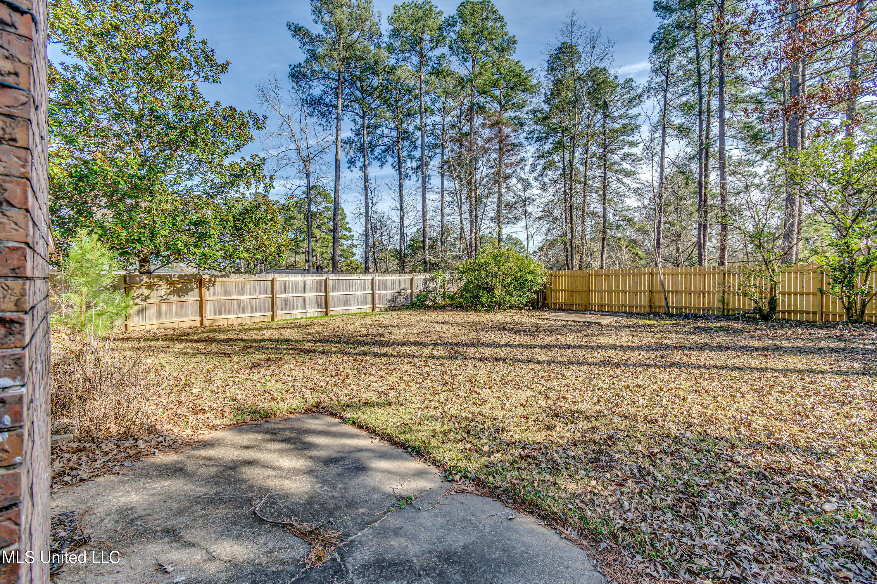 141 Fern Valley Road Brandon, MS 39042 - Photo 46 of 57 141 Fern Valley Rd-11