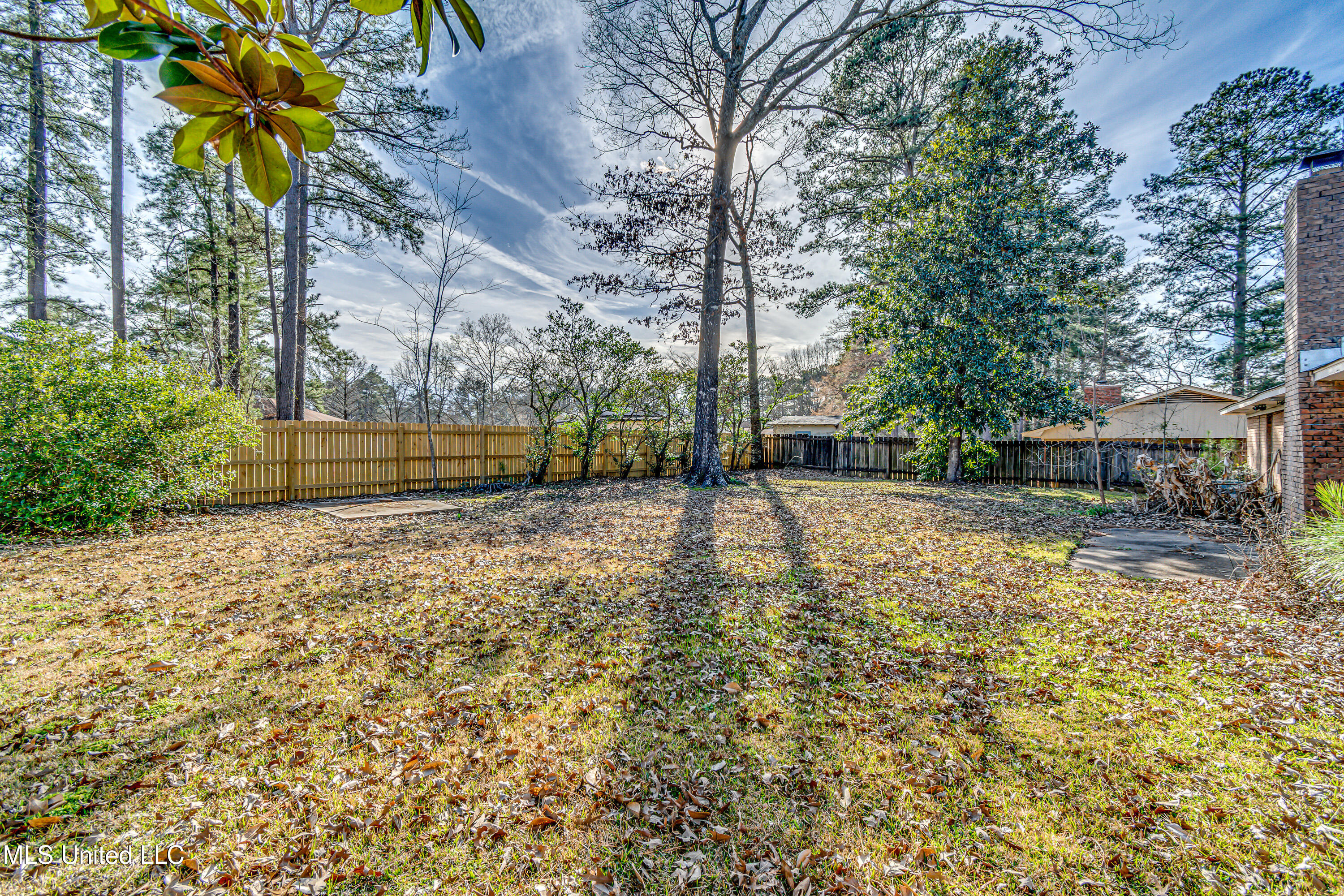 141 Fern Valley Road Brandon, MS 39042 - Photo 51 of 57 141 Fern Valley Rd-17