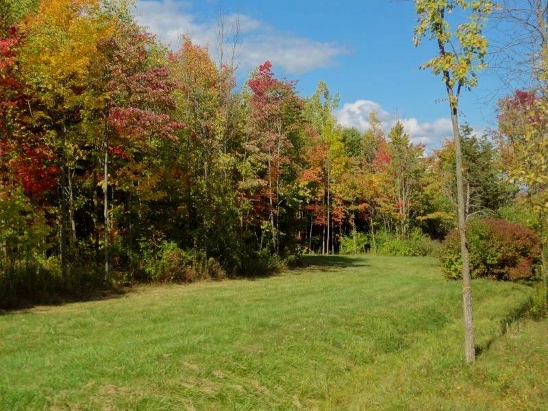 Foote Farm Road, Unit 3 Cornwall, VT 05753 - Photo 3 of 12