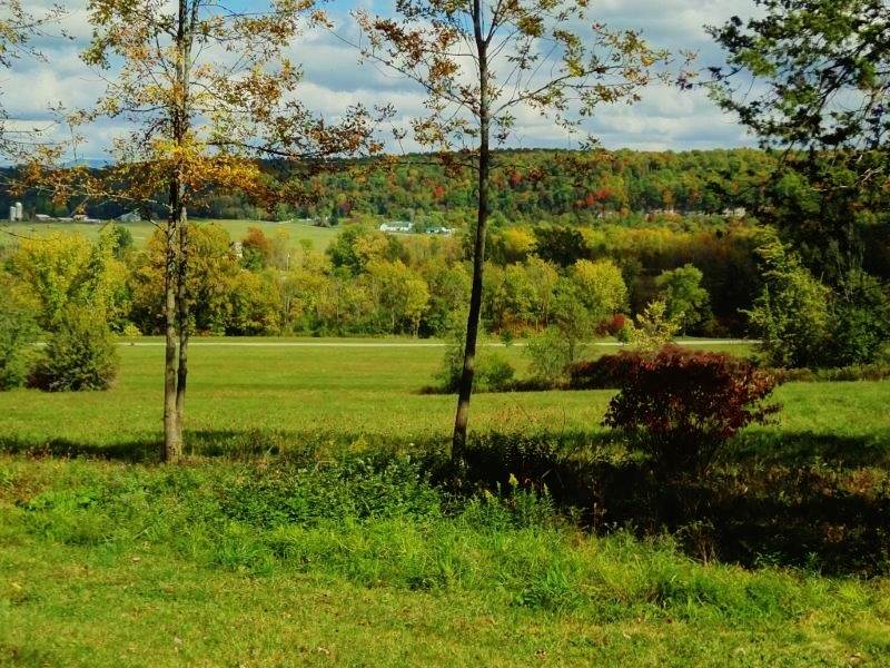 Foote Farm Road, Unit 3 Cornwall, VT 05753 - Photo 5 of 12