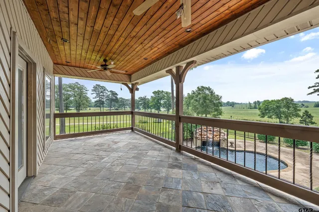 a view of a backyard with a large trees