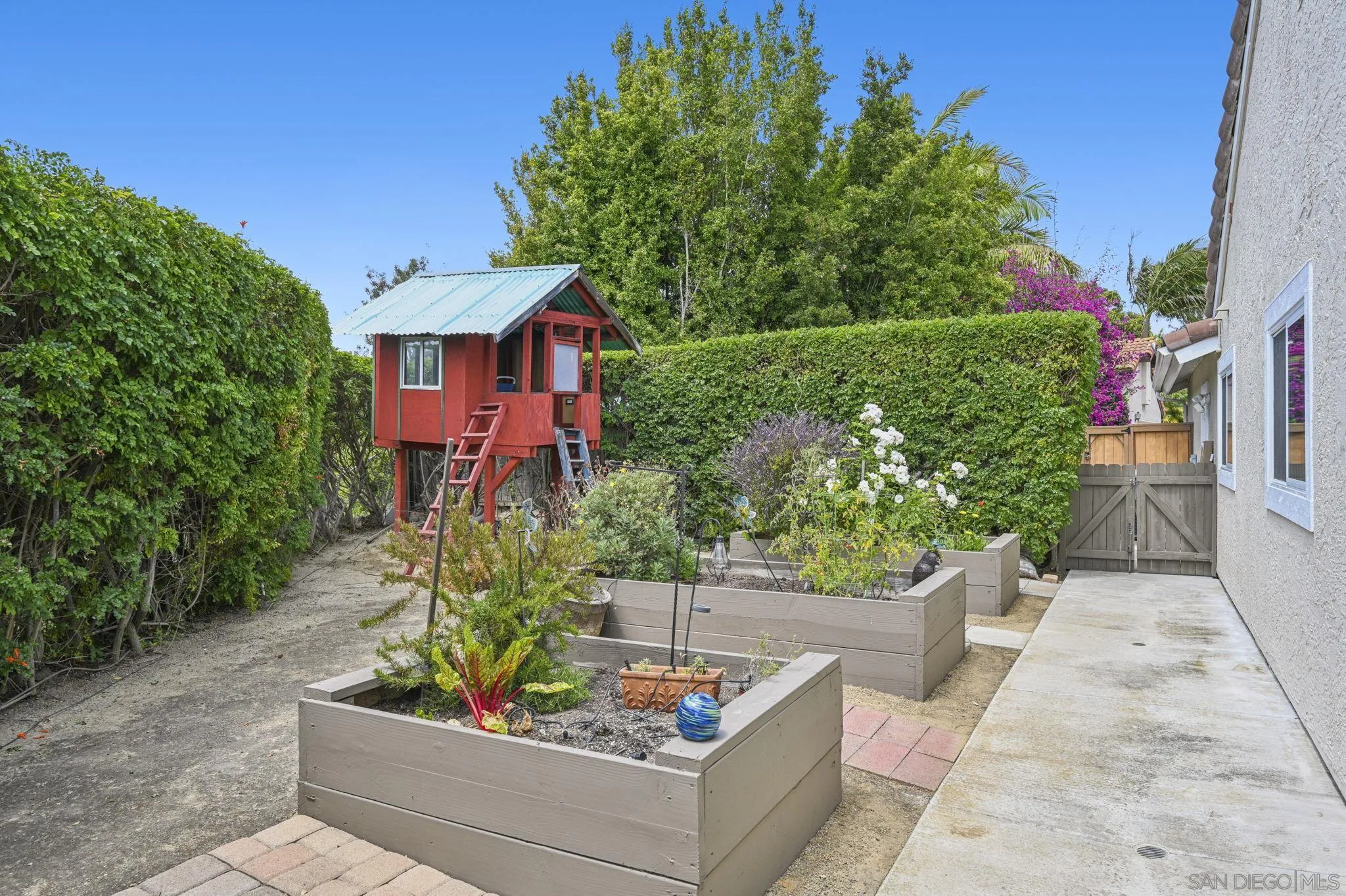 602 Hollyridge Drive Encinitas, CA 92024 - Photo 42 of 50 a view of a garden with plants