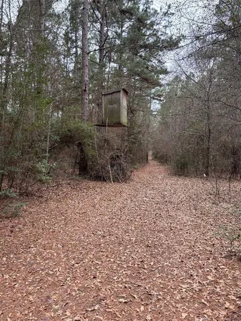 $189,500 | 0 Cr 4120 Crockett Tx 75835, Crockett, TX 75835