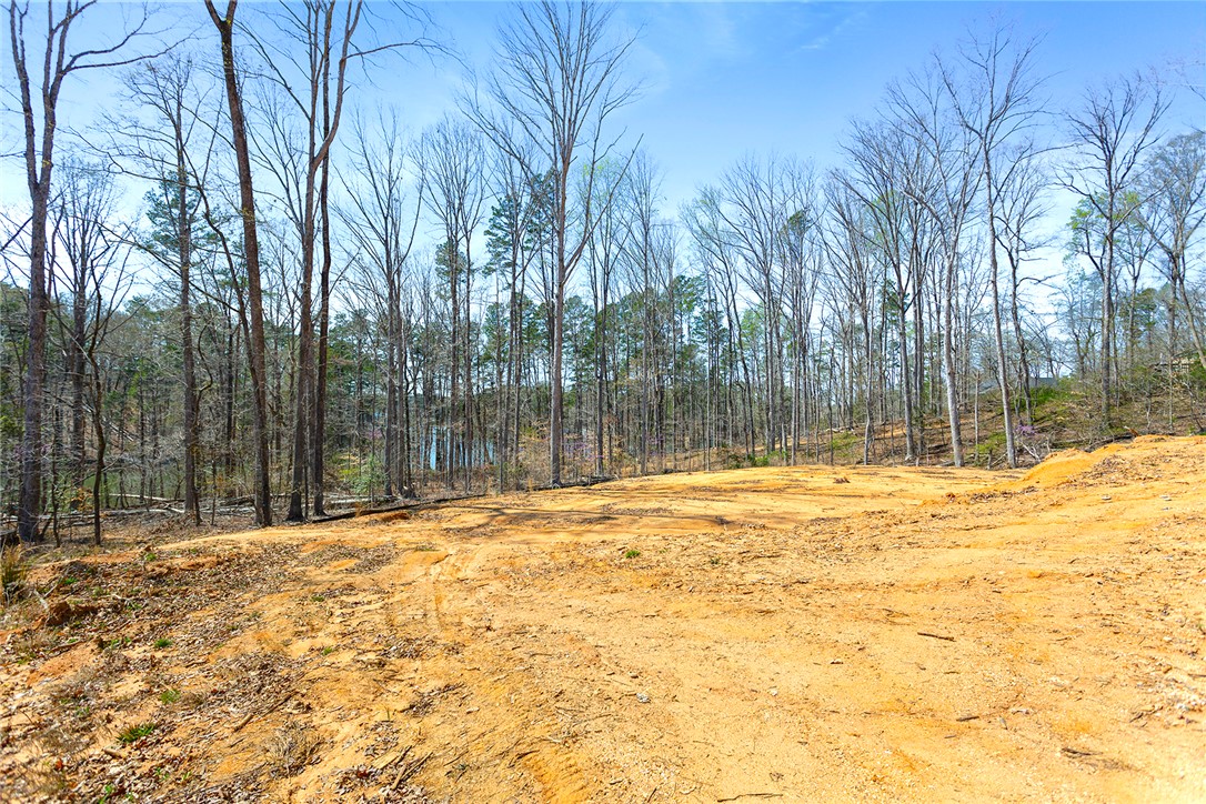 605 Elizabeth (lot 1) Road Westminster, SC 29693 - Photo 12 of 16
