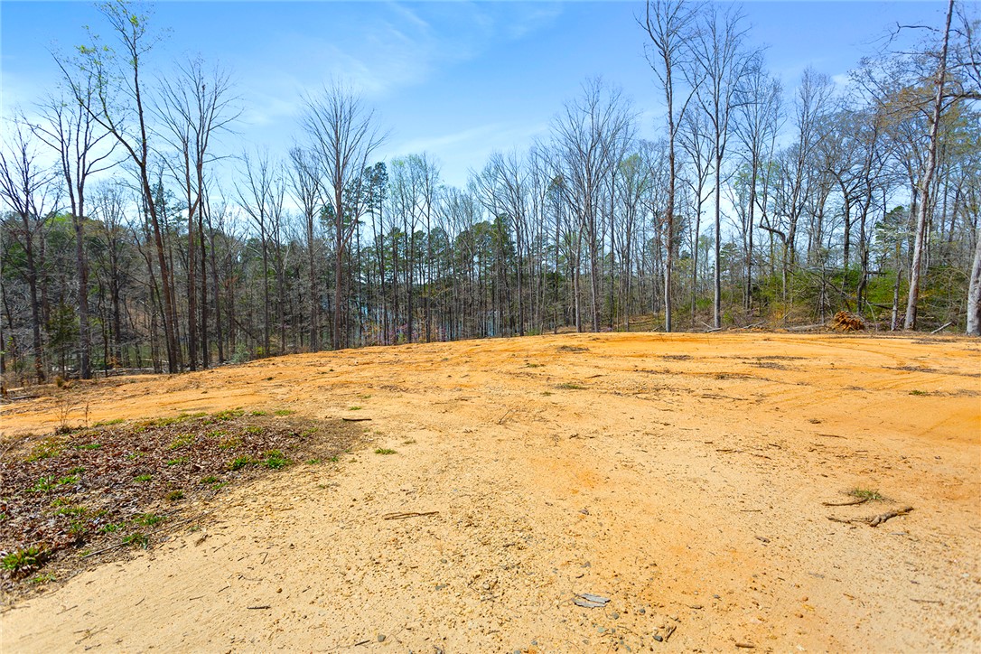 605 Elizabeth (lot 1) Road Westminster, SC 29693 - Photo 13 of 16