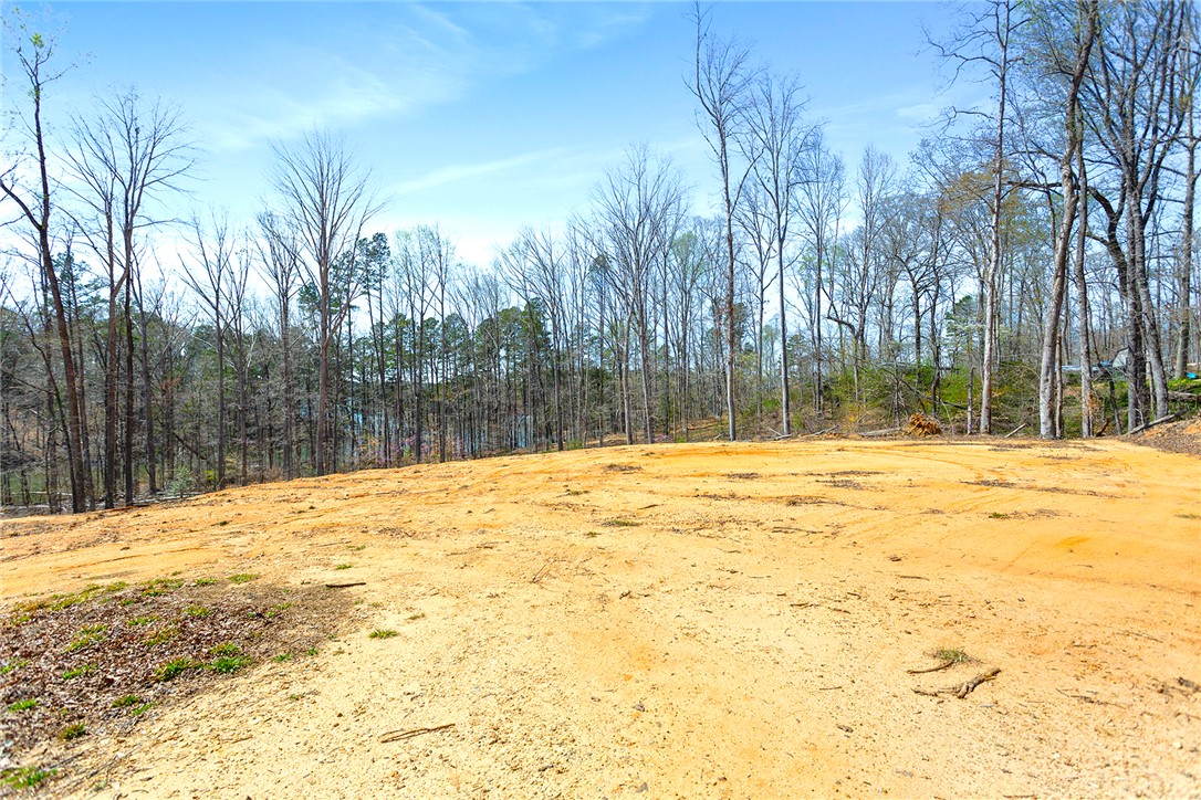 605 Elizabeth (lot 1) Road Westminster, SC 29693 - Photo 15 of 16