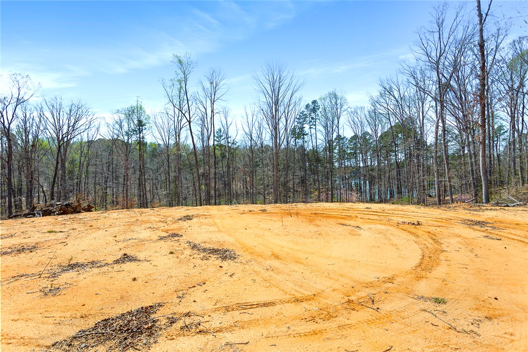 605 Elizabeth (lot 1) Road Westminster, SC 29693 - Photo 16 of 16