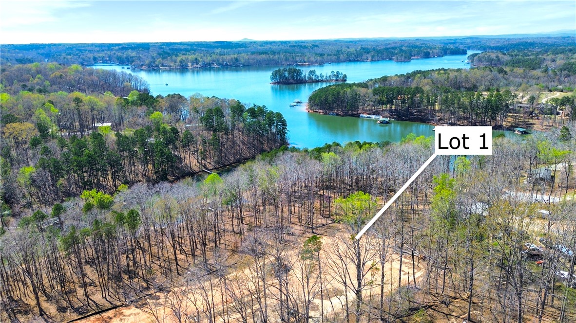 605 Elizabeth (lot 1) Road Westminster, SC 29693 - Photo 3 of 16