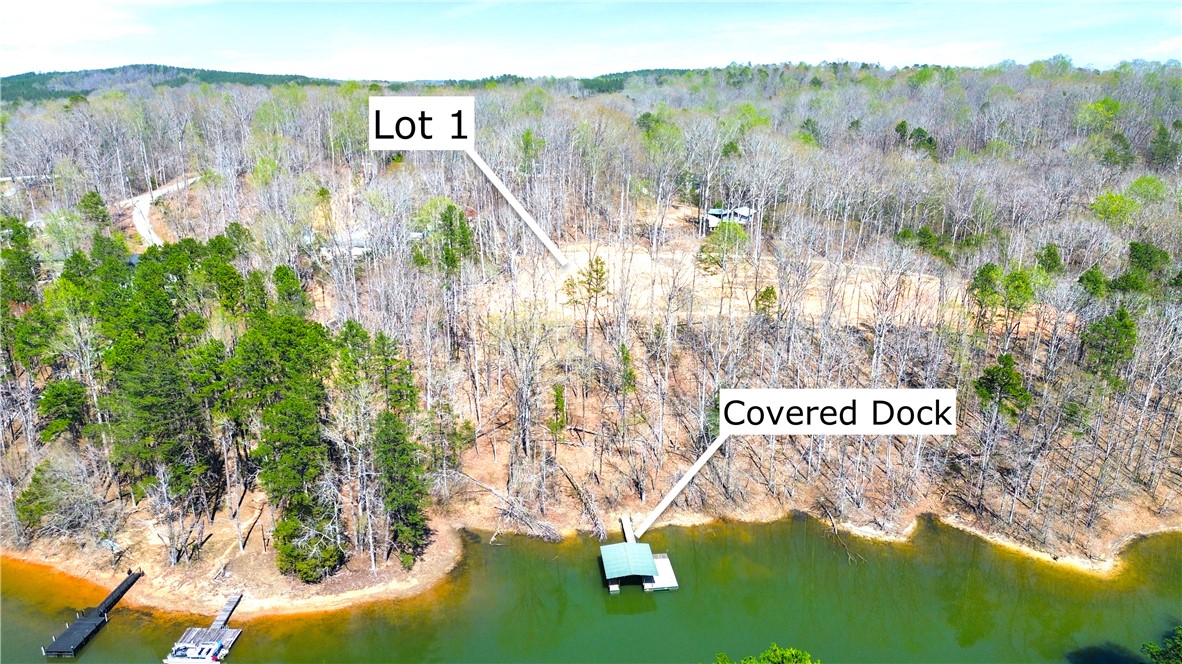 605 Elizabeth (lot 1) Road Westminster, SC 29693 - Photo 5 of 16