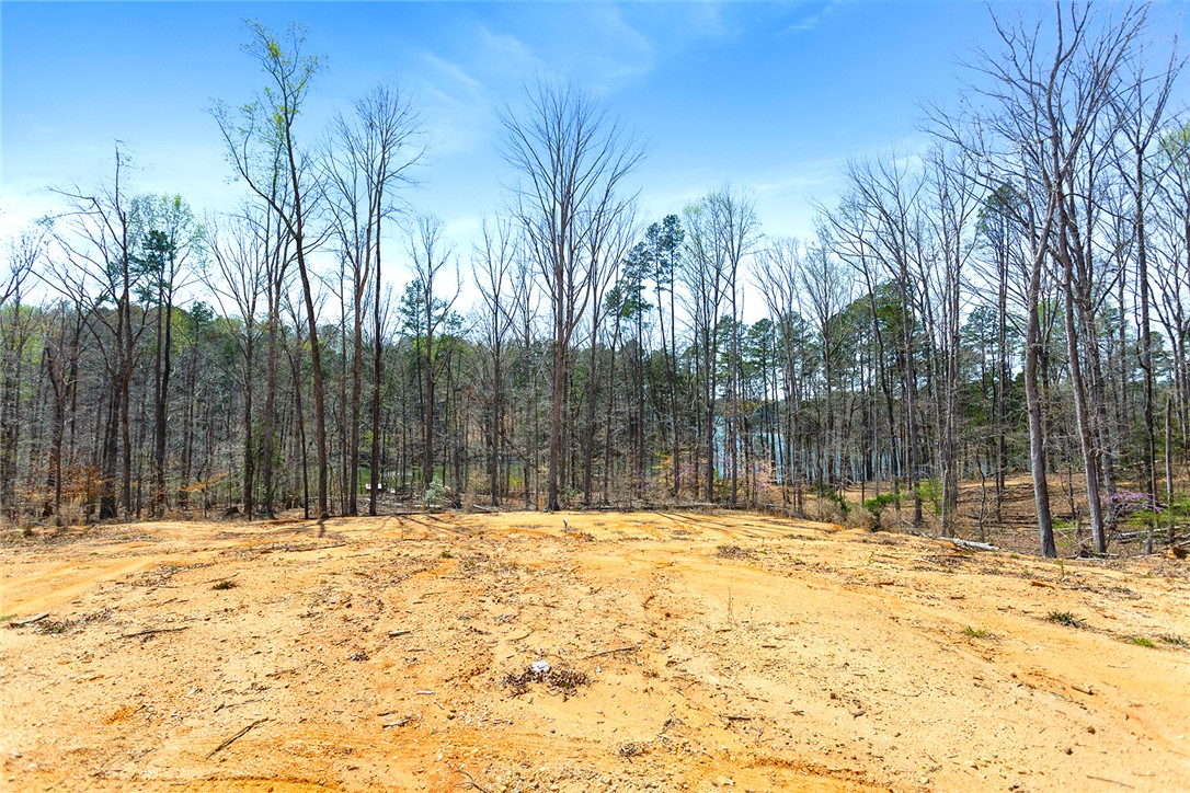 605 Elizabeth (lot 1) Road Westminster, SC 29693 - Photo 10 of 16