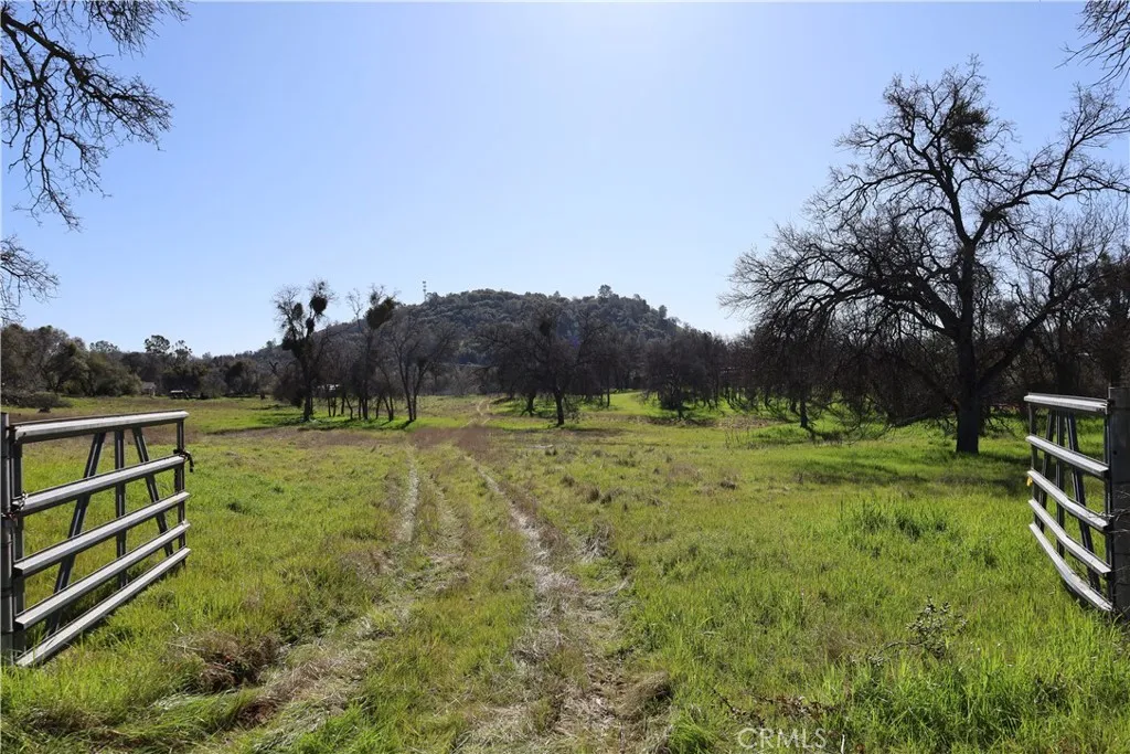 0 Douglas Road Coarsegold, CA 93614 - Photo 16 of 32