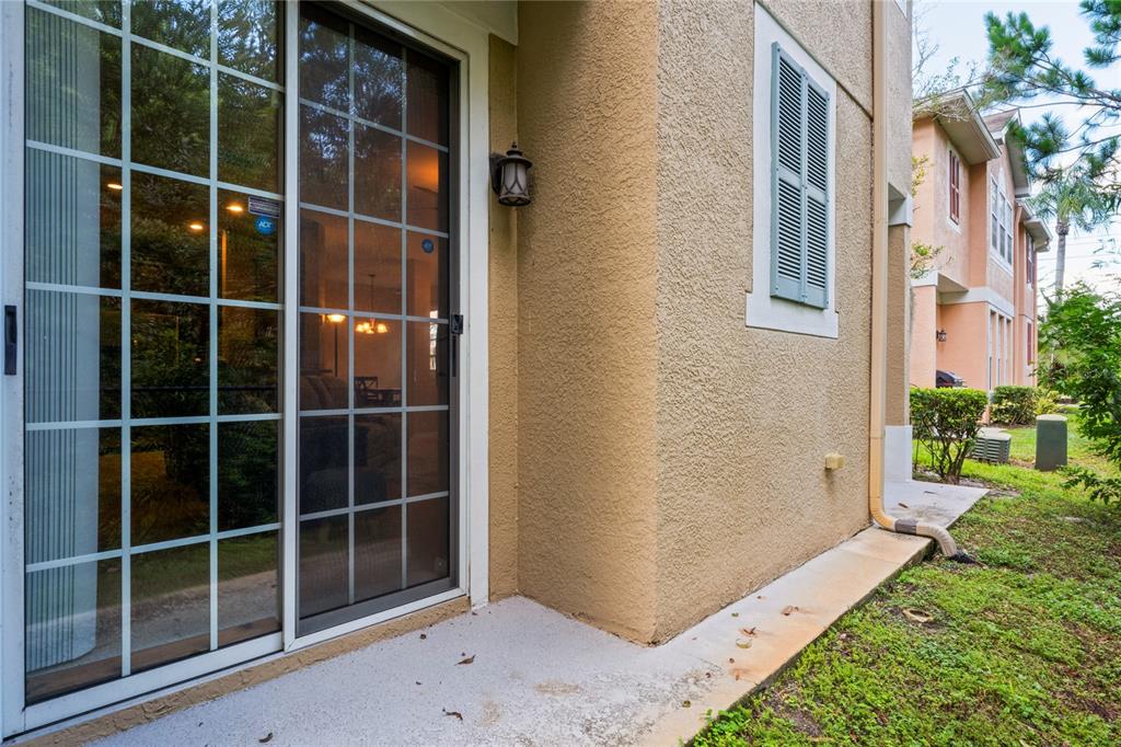 8604 Great Egret Trace New Port Richey, FL 34653 - Photo 36 of 55 a view of backyard with potted plants