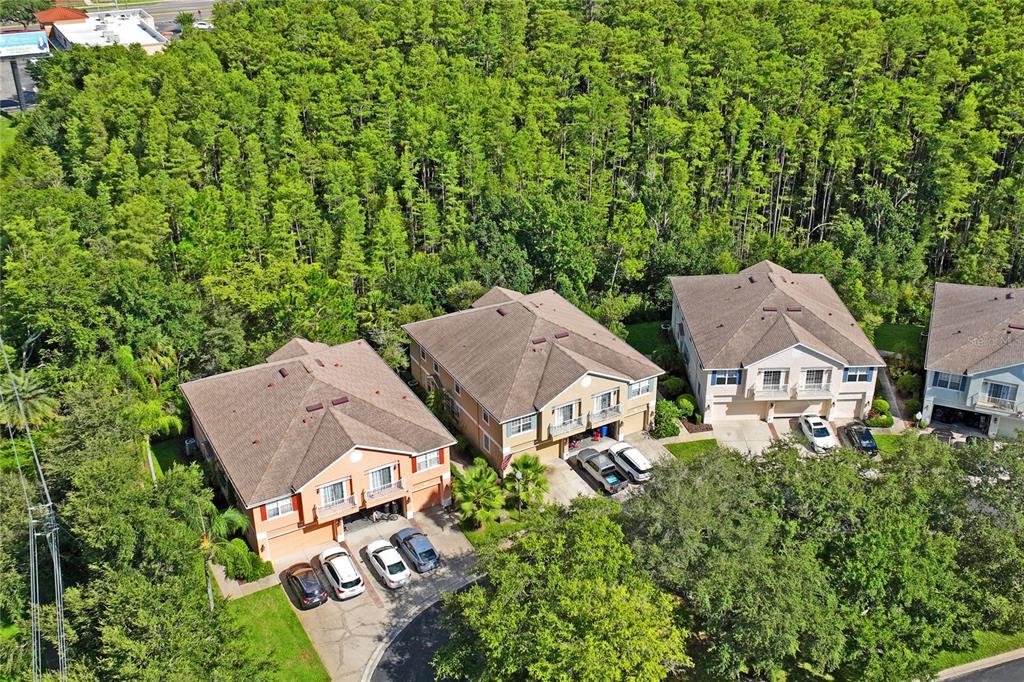 8604 Great Egret Trace New Port Richey, FL 34653 - Photo 44 of 55 an aerial view of a house with garden space and trees all around