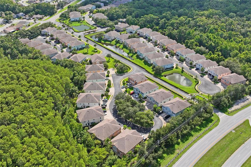8604 Great Egret Trace New Port Richey, FL 34653 - Photo 47 of 55 an aerial view of residential houses with outdoor space