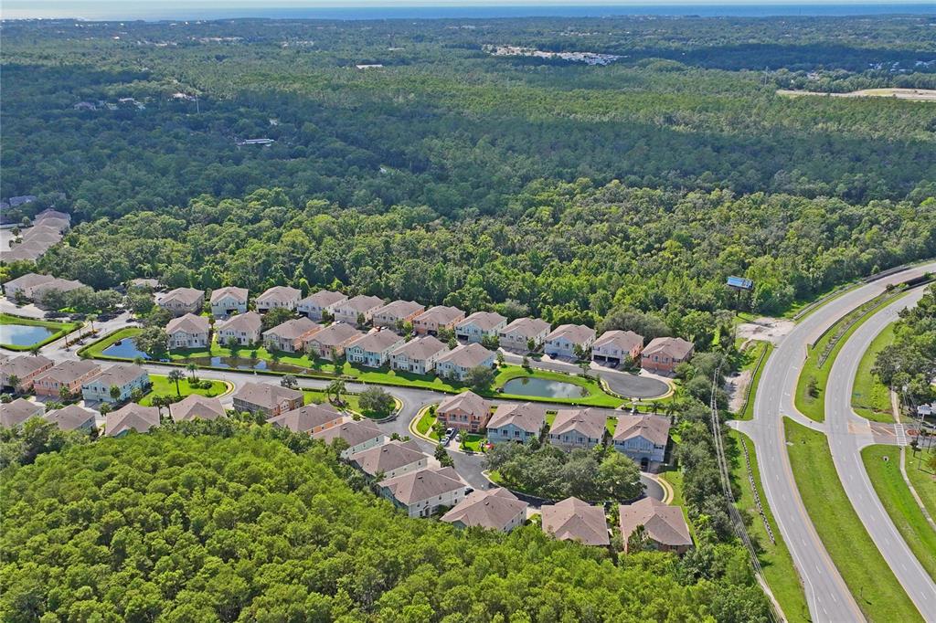 8604 Great Egret Trace New Port Richey, FL 34653 - Photo 49 of 55